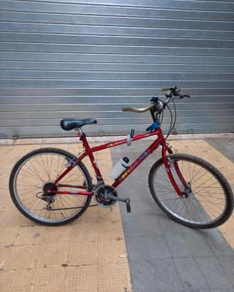 Mountain bike