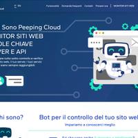 Intero progetto per sito web SaaS pronto al 100%