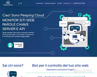 Intero progetto per sito web SaaS pronto al 100%