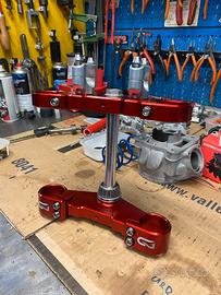 Beta evo trial piastre forcella