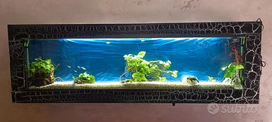 Acquario quadro a muro