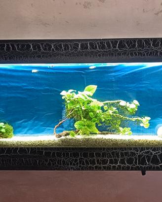 Acquario quadro a muro