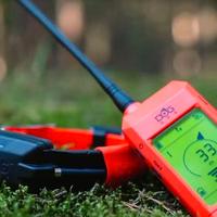 Dog trace satellitare cani