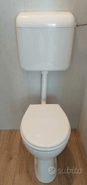 Sanitario wc a muro Schwab
