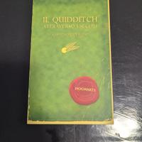 il quindditch attraverso i secoli 