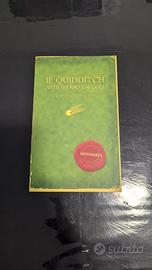 il quindditch attraverso i secoli 