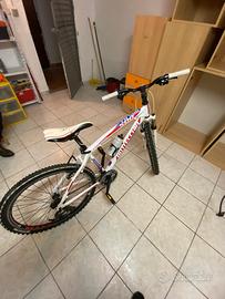 Bicicletta MTB Bottecchia 