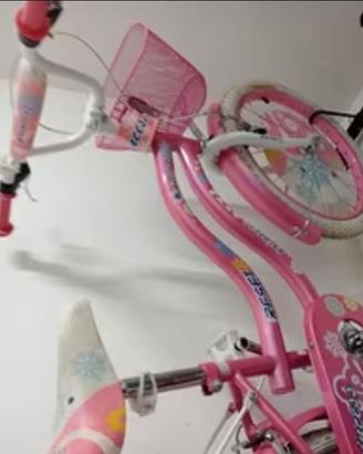 Bicicletta bambina ruota 20 principesse