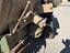 Immagine 15