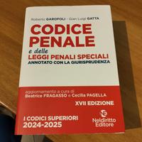 codice penale e delle leggi speciali 24/25