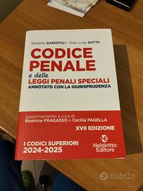 codice penale e delle leggi speciali 24/25