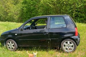 volkswagen lupo 1.4 tdi  anno 2003