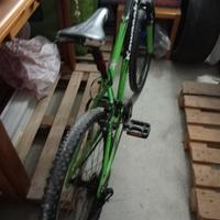 bici 24 