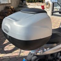 Bauletto piaggio