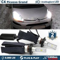 Lampade LED H7 per Citroen C4 Picasso CANbus 6500K
