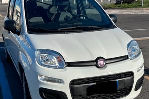 Fiat Panda 1.0 hybrid 70cv city life