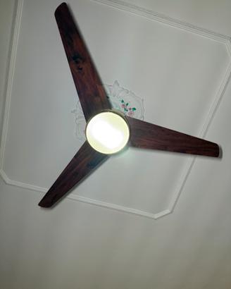Ventilatore da soffitto