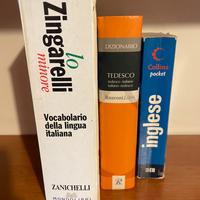 Dizionari multilingue