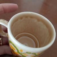 servizio da 12 tazzine caffè marca Pagnossin