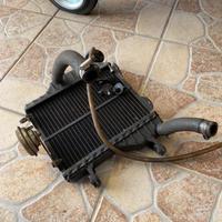 radiatore tzr 50