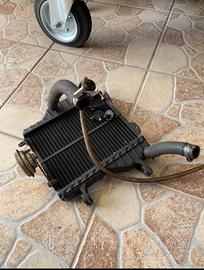 radiatore tzr 50