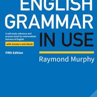 CAMBRIDGE _ ENGLISH GRAMMAR IN USE