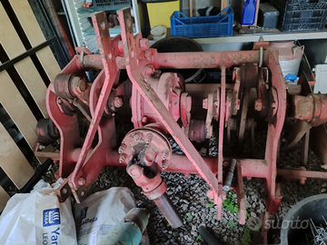 Vangatrice selvatici