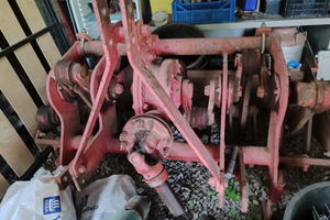 Vangatrice selvatici