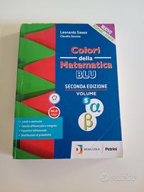 Colori della matematica blu 5ab