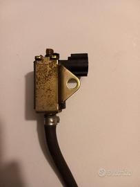 Pompa olio elettrica Aprilia  sr ditech.