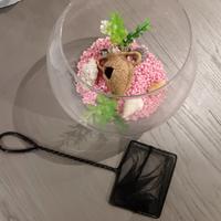 Piccolo acquario circolare  per pesciolini  