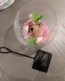 Piccolo acquario circolare  per pesciolini  