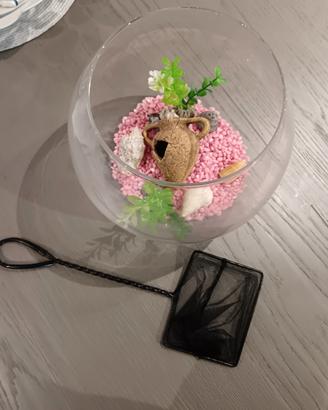 Piccolo acquario circolare  per pesciolini  