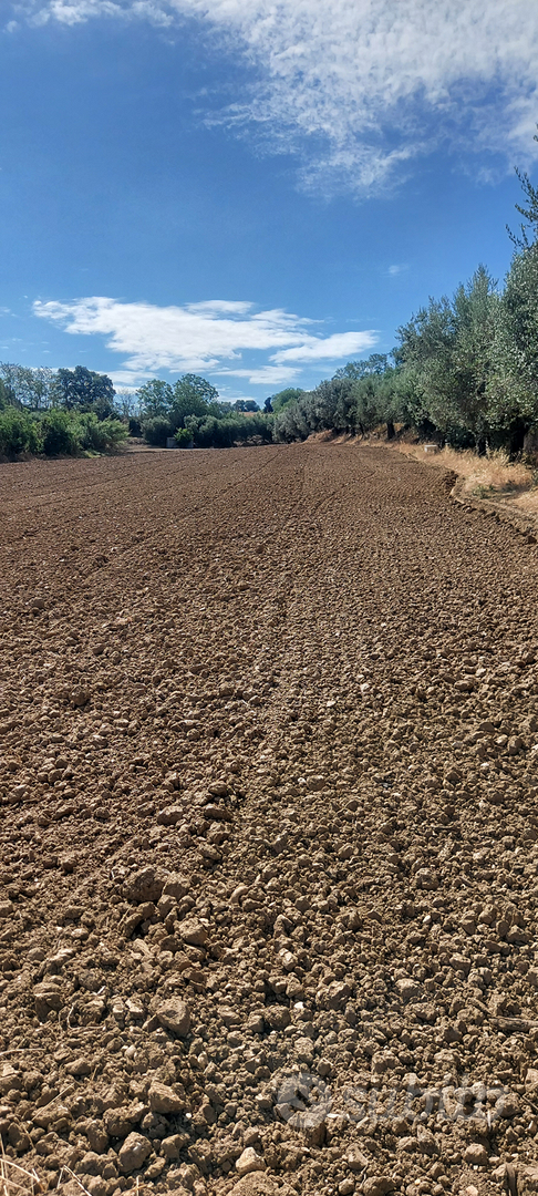 Terreno agricolo - Vista 2