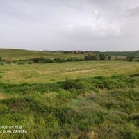 08a terreno agricolo, campo, orto, animali, eventi