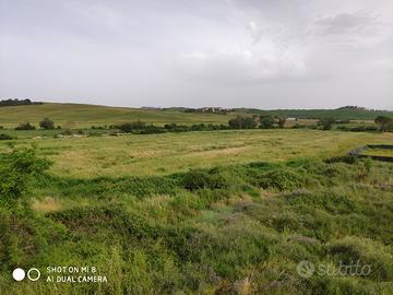 08a terreno agricolo, campo, orto, animali, eventi