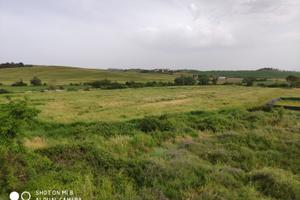 08a terreno agricolo, campo, orto, animali, eventi