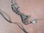 Immagine 11