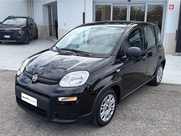 FIAT Panda 3ª serie - Panda 1.0 FireFly S&S Hybrid