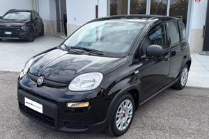FIAT Panda 3ª serie - Panda 1.0 FireFly S&S Hybrid