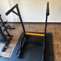 Parallele dip palestra