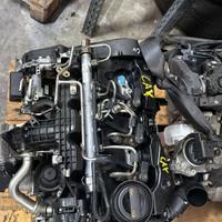 motore volkswagen audi 1.6 sigla CAY