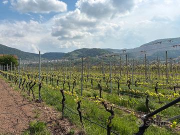 Terreno edificabile - Lisignago, Val di Cembra