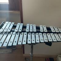 Glockenspiel con supporto e custodia