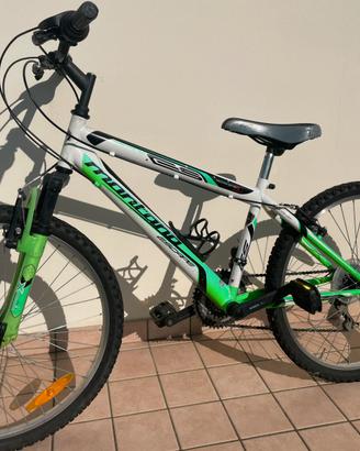 Bicicletta da ragazzi