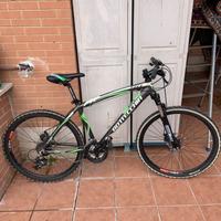 Mountain Bike Bottecchia 26”