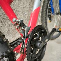 bicicletta Mountain bike 