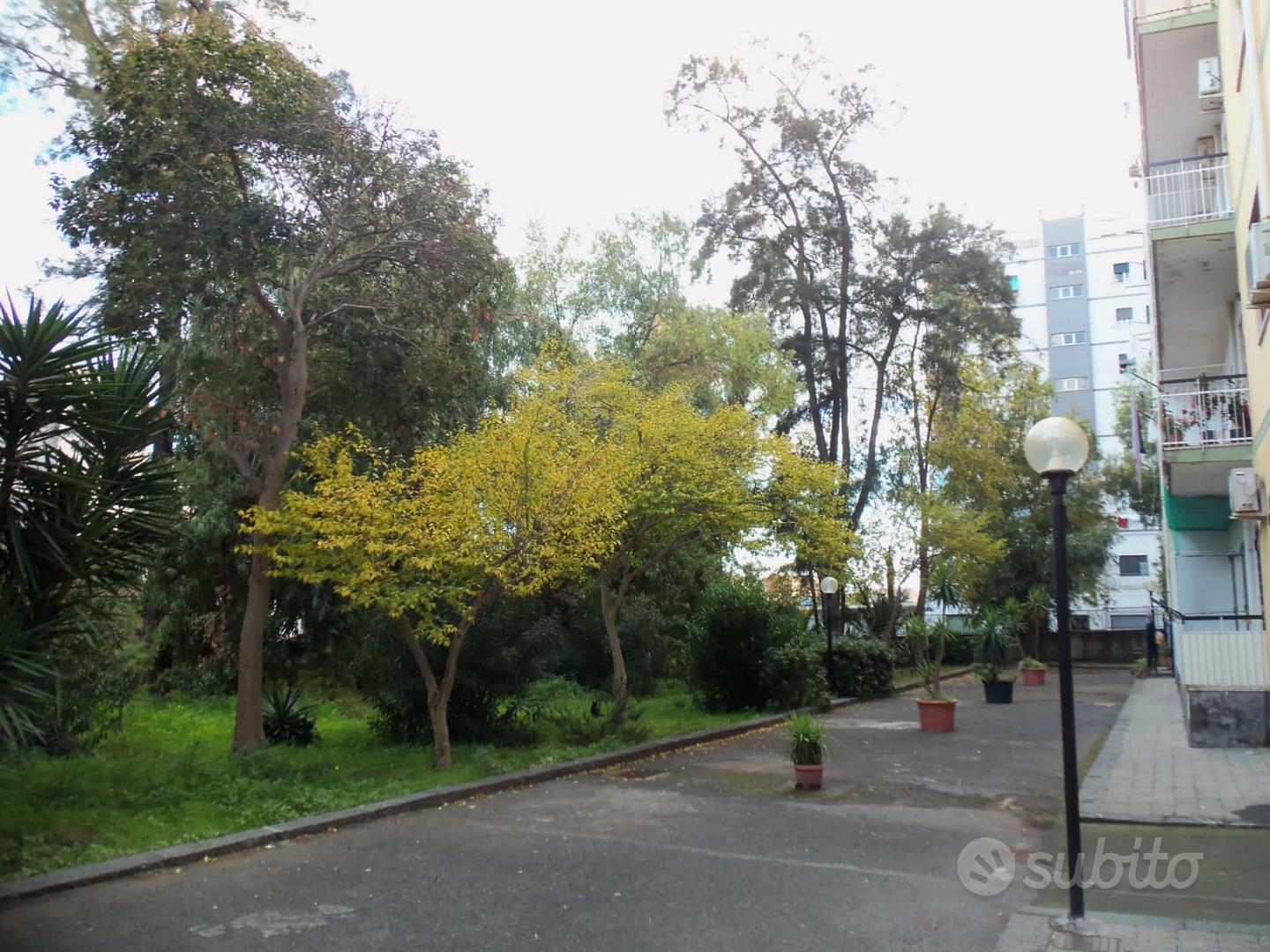 Appartamento – Catania, Curia, Monte Po-Nesima-San Leone-Rapisardi - Vista 3