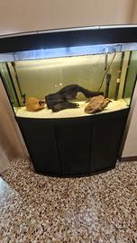 Acquario Askoll Tenerif Sinuo 150 + filtro