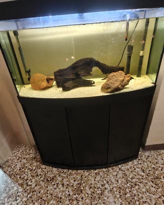 Acquario Askoll Tenerif Sinuo 150 + filtro
